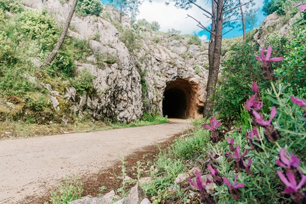 Rota - PR06 - Rota do Carvão - São Pedro| Porto de Mós| Região de Leiria| Portugal