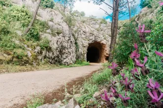 Rota - PR06 - Rota do Carvão - São Pedro| Porto de Mós| Região de Leiria| Portugal