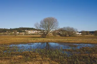 Rota - PR4 ABL Trilho da Pateira de Frossos - Frossos| Albergaria-A-Velha| Região de Aveiro| Portugal