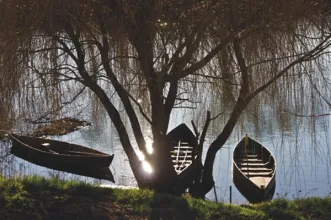 Rota - PR4 ABL Trilho da Pateira de Frossos - Frossos| Albergaria-A-Velha| Região de Aveiro| Portugal