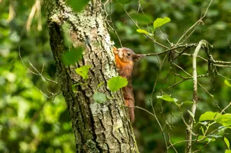 Rota - BTT XC Arripiado – P3 - Arripiado| Chamusca| Lezíria do Tejo| Portugal