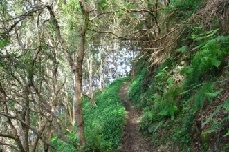 Rota - Boca do Risco – BTT - Machico| Machico| Região Autónoma da Madeira| Portugal