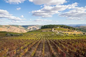 Route - PR2 SBR Trilho do Castro de Sabrosa - Sabrosa| Sabrosa| Douro| Portugal