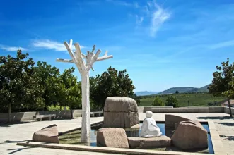 Rota - PR6 SBR Rota Urbana de Fernão de Magalhães - Sabrosa| Sabrosa| Douro| Portugal