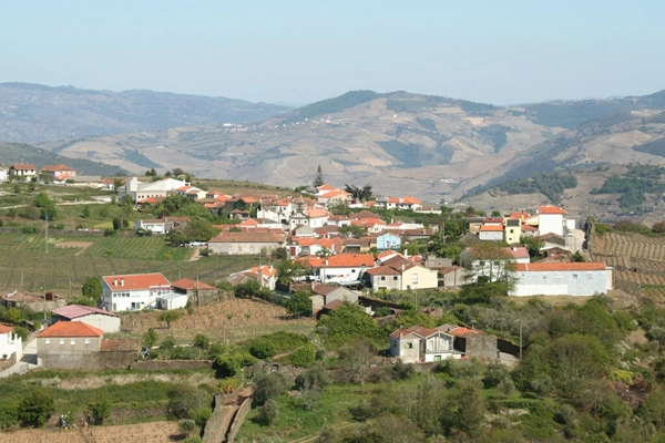 Rota - PR4 SBR Trilho vinhateiro de Provesende - Provesende| Sabrosa| Douro| Portugal