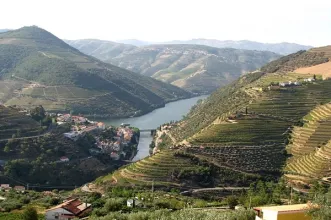 Rota - PR4 SBR Trilho vinhateiro de Provesende - Provesende| Sabrosa| Douro| Portugal