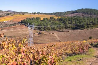 Rota - PR4 CRZ Trilho da Fraga das Ferraduras - Ribalonga| Carrazeda de Ansiães| Douro| Portugal
