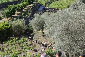 Rota - PR4 CRZ Trilho da Fraga das Ferraduras - Ribalonga| Carrazeda de Ansiães| Douro| Portugal