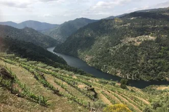 Route - PR1 CRZ Trilho de S. Lourenço - Pombal| Carrazeda de Ansiães| Douro| Portugal