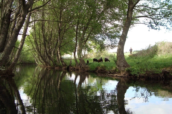 Rota - PR3 SBG Nascente do Côa - Fóio| Sabugal| Beiras e Serra da Estrela| Portugal