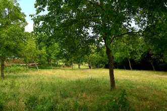 Rota - PR1 Tarouca - Tarouca| Tarouca| Douro| Portugal