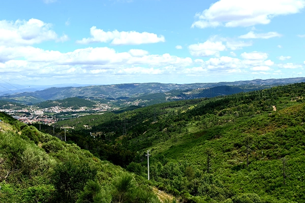 Rota - PR2 Tarouca - Tarouca| Tarouca| Douro| Portugal