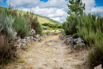 Rota - PR3 Tarouca - Tarouca| Tarouca| Douro| Portugal