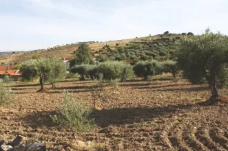 Rota - PR2 MDL Trilho de Vale de Lobo - Vale de Lobo| Mirandela| Terras de Trás-os-Montes| Portugal