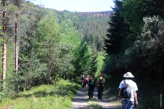 Route - PR6 AMT Rio Marão - Ansiães| Amarante| Tâmega e Sousa| Portugal