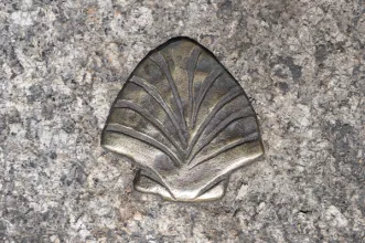 Rota - Caminho de Torres- Caminhos de Santiago - Amarante - Carneiro| Amarante| Tâmega e Sousa| Portugal