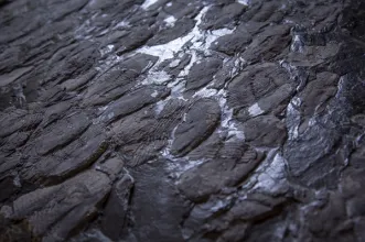 Rota - Rota dos Geossítios - Itinerário C: Paiva: O Vale Surpreendente - Canelas| Arouca| Área Metropolitana do Porto| Portugal