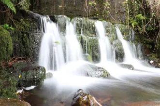 Rota -  PR01 SJO Serra do Topo - Caldeira de Santo Cristo - Fajã dos Cubres - Calheta| Calheta de São Jorge| Região Autónoma dos Açores| Portugal