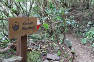 Rota -  PR01 SJO Serra do Topo - Caldeira de Santo Cristo - Fajã dos Cubres - Calheta| Calheta de São Jorge| Região Autónoma dos Açores| Portugal