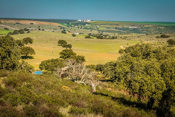 Route - PR3 BJA Pelos Montes do Cantinho da Ribeira - Trindade| Beja| Baixo Alentejo| Portugal
