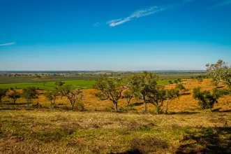 Route - PR3 BJA Pelos Montes do Cantinho da Ribeira - Trindade| Beja| Baixo Alentejo| Portugal