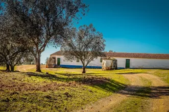 Route - PR3 BJA Pelos Montes do Cantinho da Ribeira - Trindade| Beja| Baixo Alentejo| Portugal