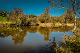 Rota - PR4 BJA Da Planície à Ribeira de Terges  - Albernoa| Beja| Baixo Alentejo| Portugal