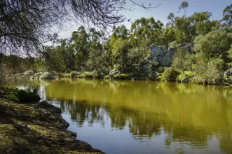 Rota - PR4 BJA Da Planície à Ribeira de Terges  - Albernoa| Beja| Baixo Alentejo| Portugal