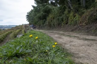 Rota - GR14 - Grande Rota dos Vinhos da Europa – Etapa Armamar - Fontelo - Armamar| Armamar| Douro| Portugal