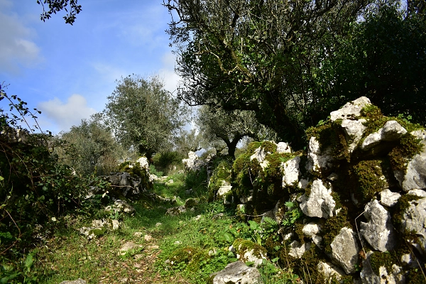 Rota - PR2 PBL Trilho das Duas Aldeias - Pousadas Vedras| Pombal| Região de Leiria| Portugal