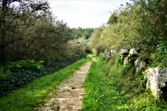 Rota - PR3 PBL Trilho Pombal Natura - Pombal| Pombal| Região de Leiria| Portugal