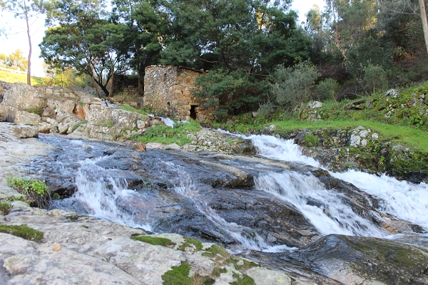 Rota - PR1 VLR Trilho das Cascatas - Vila de Rei| Vila de Rei| Beira Baixa| Portugal