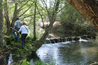 Rota - PR4 VLR Caminho de Xisto de Água Formosa - Água Formosa| Vila de Rei| Beira Baixa| Portugal