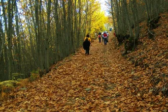 Rota - PR9 FND Rota dos Castanheiros  - Donas| Fundão| Beiras e Serra da Estrela| Portugal