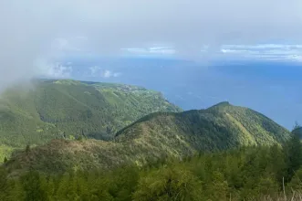 Rota - Trilho Pico Bartolomeu - Água Retorta| Povoação| Região Autónoma dos Açores| Portugal
