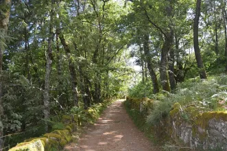 Rota - Trilho Interpretativo das Aves de Rapina - Telões| Vila Pouca de Aguiar| Alto Tâmega| Portugal
