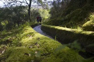 Route - Trilho da Ribeira de Cavez - Vilela| Cabeceiras de Basto| Ave| Portugal
