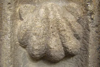 Rota - Caminho de Torres – Etapa Almeida – Pinhel - Almeida| Pinhel| Beiras e Serra da Estrela| Portugal