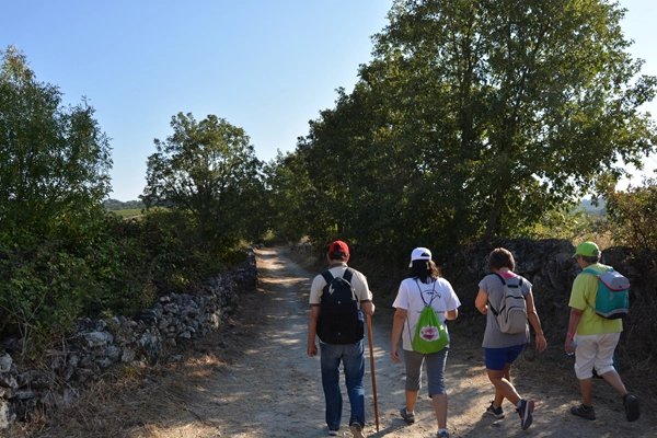 Rota - Caminho de Torres – Etapa Almeida – Pinhel - Almeida| Pinhel| Beiras e Serra da Estrela| Portugal