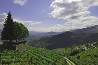 Rota - Rota dos Miradouros - Mesão Frio| Mesão Frio| Douro| Portugal