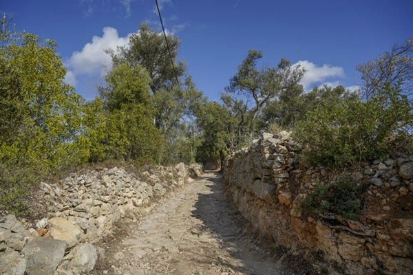 Rota - PR1 Caminhos Romanos e Cerro da Cabeça  - Moncarapacho| Olhão| Algarve| Portugal