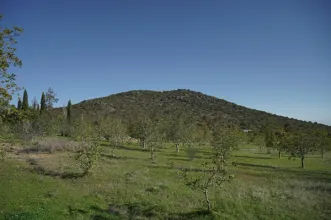 Rota - PR1 Caminhos Romanos e Cerro da Cabeça  - Moncarapacho| Olhão| Algarve| Portugal