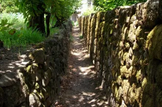 Rota - Rota dos Laranjais - Castelões| Tondela| Viseu Dão Lafões| Portugal