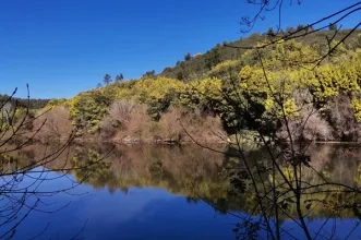 Route - PR1 No Rasto dos Templários - Limeiras| Vila Nova da Barquinha| Médio Tejo| Portugal