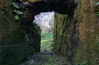 Route - PR1 No Rasto dos Templários - Limeiras| Vila Nova da Barquinha| Médio Tejo| Portugal