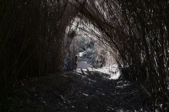 Route - PR1 No Rasto dos Templários - Limeiras| Vila Nova da Barquinha| Médio Tejo| Portugal