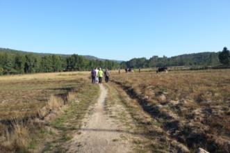 Rota - PR1 SAT Rota do Míscaro - Rãs| Sátão| Viseu Dão Lafões| Portugal