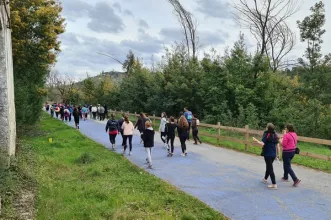 Rota - PR1 SCD Percurso de Treixedo - Treixedo | Santa Comba Dão| Viseu Dão Lafões| Portugal