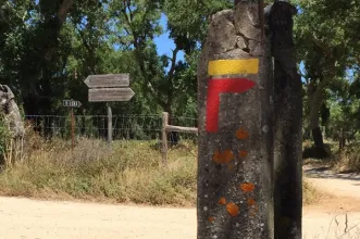 Rota - PR2 ARL Rota das Azinhagas de São Pedro da Gafanhoeira - São Pedro da Ganhofeira| Arraiolos| Alentejo Central| Portugal