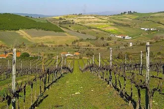 Rota - Rota das Quintas - São Domingo de Carmões| Torres Vedras| Oeste| Portugal